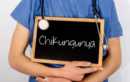 Chikungunya: saiba mais sobre a doença e seus sintomas