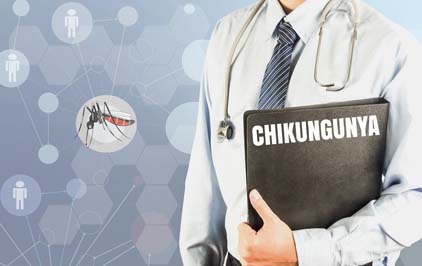 Chikungunya: Rede Replick é lançada no Rio de Janeiro