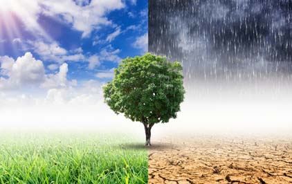 Mudanças climáticas podem levar a aumento de casos de arboviroses