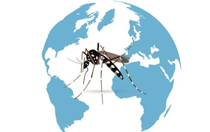 Consórcio internacional de zika promove encontro na Fiocruz